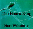 The Neuro Ring's Next
Website